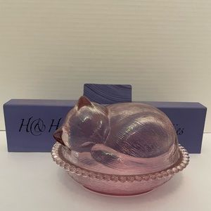 Indians glass Cat resting on nest